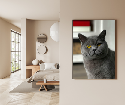 Grey Cat Portrait: Amber Gaze - Premium Metal Poster