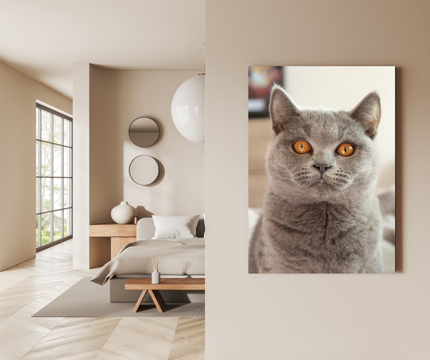 Royal Chartreux Portrait - Premium Metal Poster