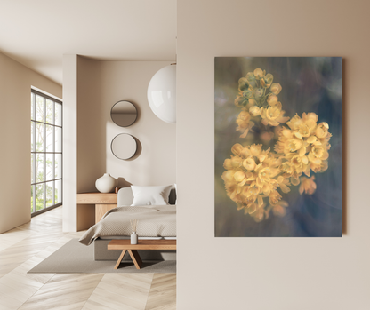 The Soft Bloom of Sun-Kissed Petals - Premium Metal Poster