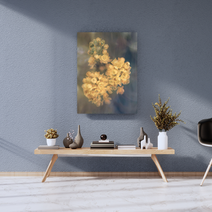 The Soft Bloom of Sun-Kissed Petals - Premium Metal Poster