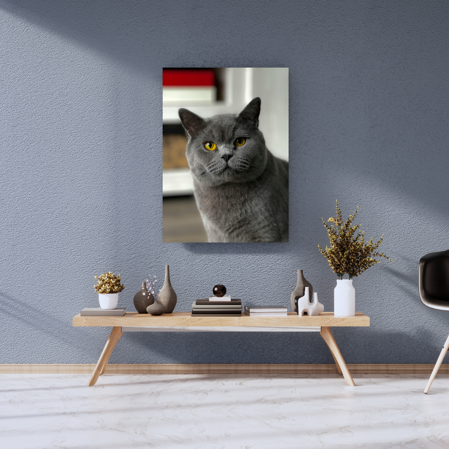 Grey Cat Portrait: Amber Gaze - Premium Metal Poster