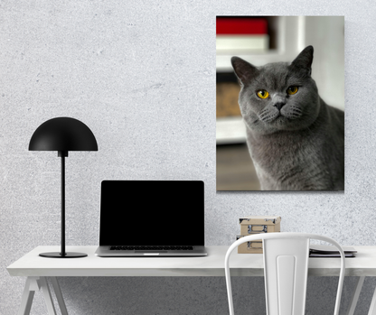 Grey Cat Portrait: Amber Gaze - Premium Metal Poster