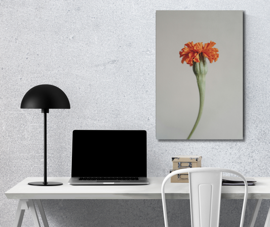 The Solitary Bloom: Marigold Muse - Premium Metal Poster