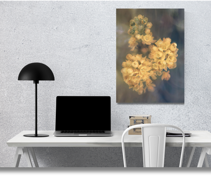 The Soft Bloom of Sun-Kissed Petals - Premium Metal Poster