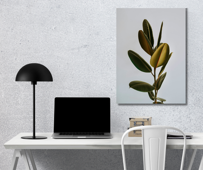 Verdant Minimalist: The Rubber Fig Study - Premium Metal Poster
