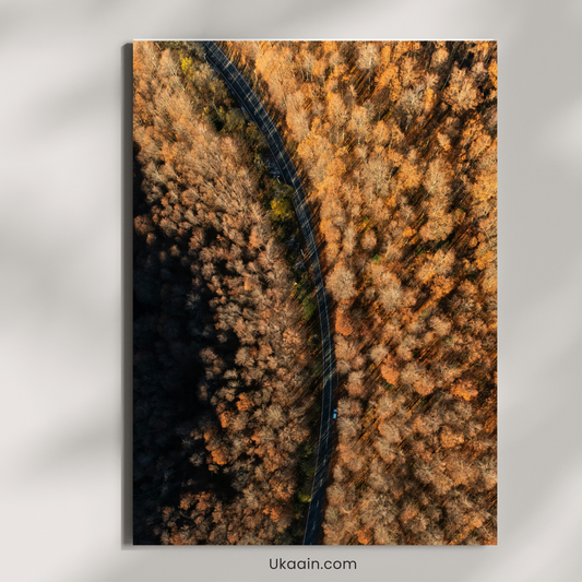 The Winding Path Through Autumn's Gold - Premium Metal Poster