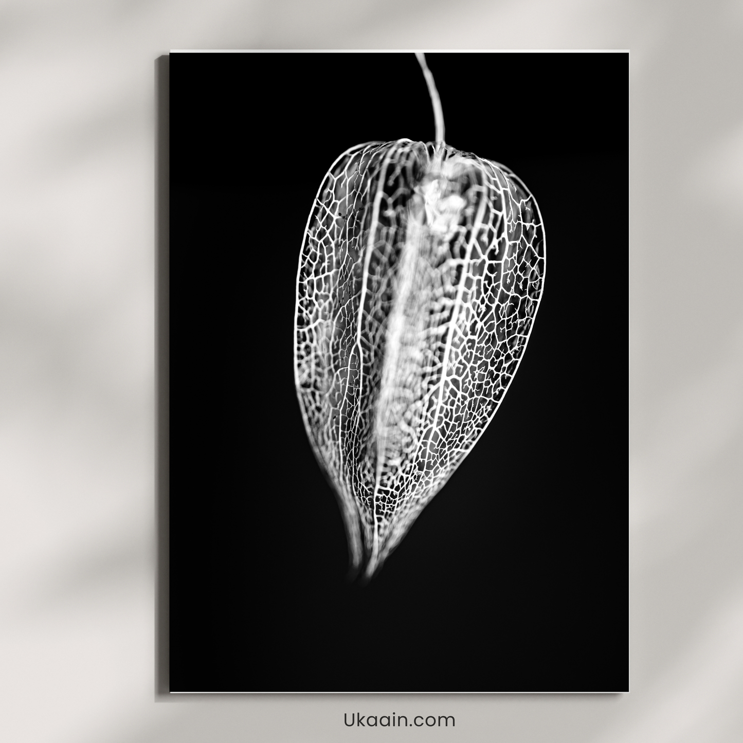 Leaf: Veins of Nature - Premium Metal Poster