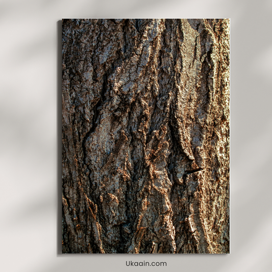 The Ancient Topography of Silent Giants: - Premium Metal Poster