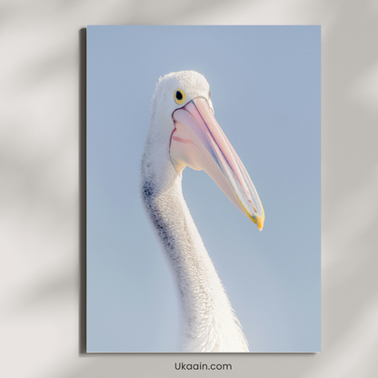 The Serene Majesty of the Coastal Skies - Premium Metal Poster